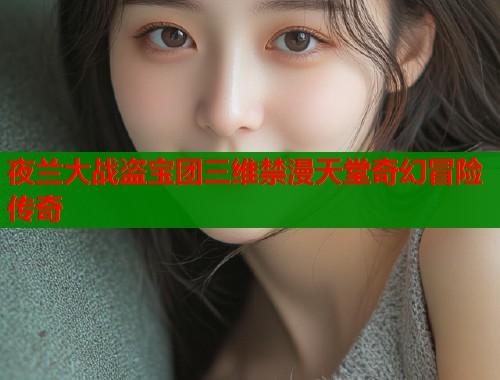 夜兰大战盗宝团三维禁漫天堂奇幻冒险传奇  第1张